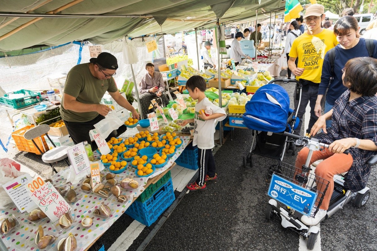 写真11