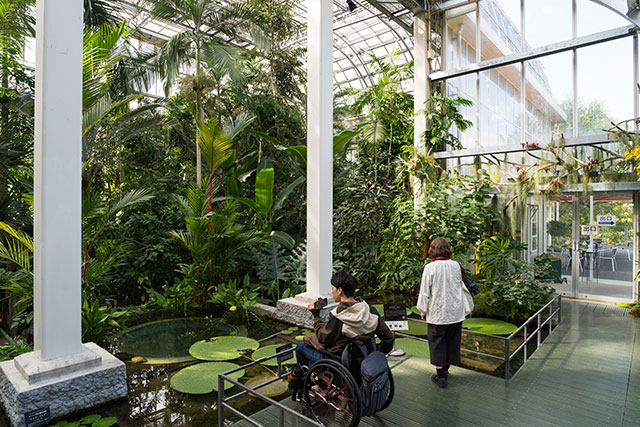 写真:高知県立牧野植物園2