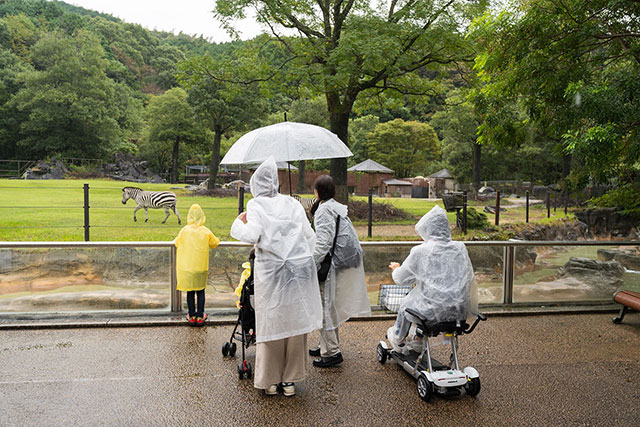 写真:高知県立のいち動物公園3