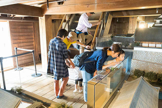 写真:高知城2
