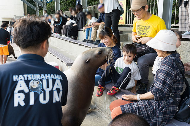 写真:桂浜水族館1