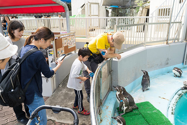 写真:桂浜水族館2