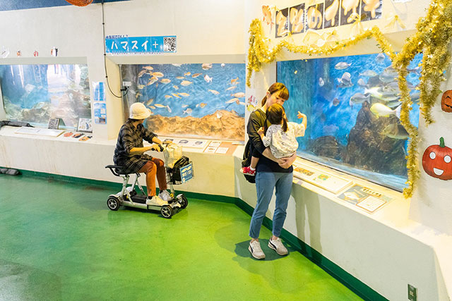 写真:桂浜水族館3